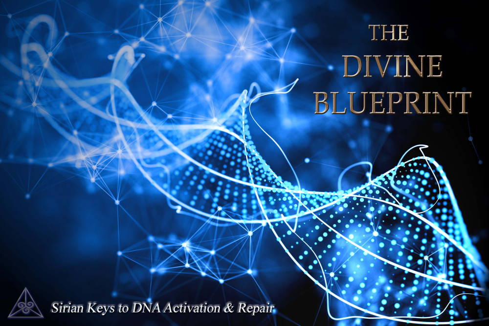 Patricia Cori Courses The Divine Blueprint