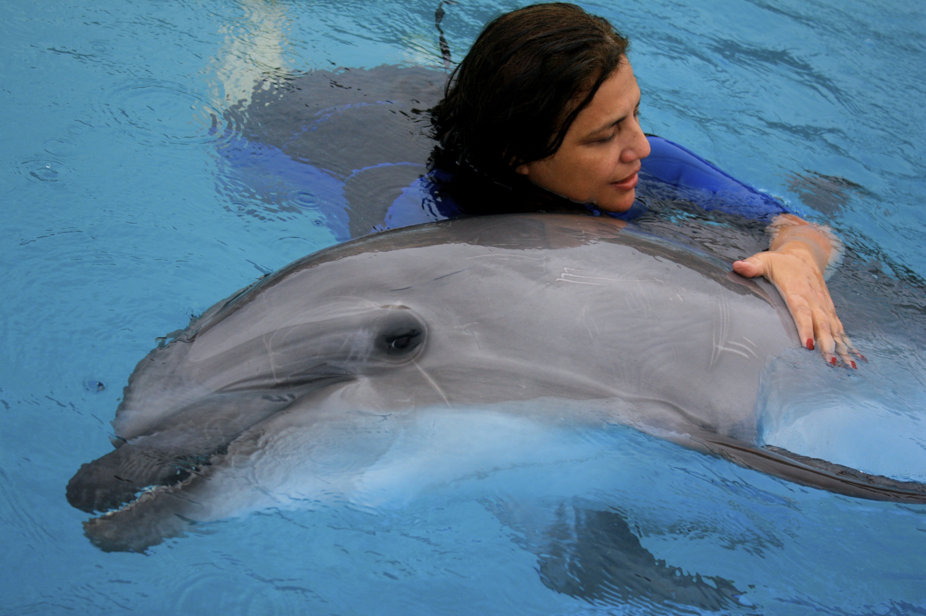 dolphinhealing